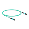 1m (3ft) 12 Fibers Female to Female Elite MTP Trunk Cable Polarity B Plenum (OFNP) OM3 50/125 Multimode Fiber