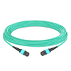 10m (33ft) 12 Fibers Female to Female Elite MTP Trunk Cable Polarity B Plenum (OFNP) OM3 50/125 Multimode Fiber