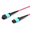 1m (3ft) 12 Fibers Female to Female Elite MTP Trunk Cable Polarity B LSZH Multimode OM4 50/125