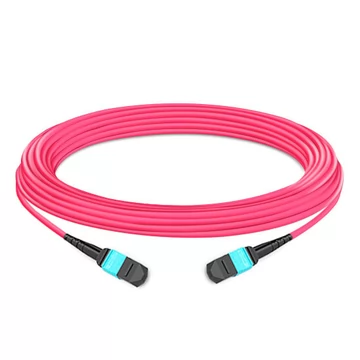 12 Fibers Multimode OM4 MTP Trunk Cable 20M | FiberMall
