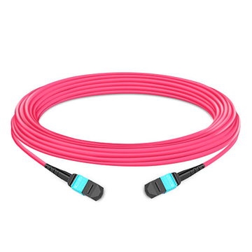 5m (16ft) 12 Fibers Female to Female Elite MTP Trunk Cable Polarity B LSZH Multimode OM4 50/125