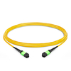 1m (3ft) 12 Fibers Female to Female Elite MTP Trunk Cable Polarity B LSZH OS2 9/125 Single Mode