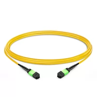 1m (3ft) 12 Fibres Femelle à Femelle Elite MTP Trunk Cable Polarité B Plenum (OFNP) OS2 9/125 Monomode