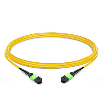 3 m (10 pies) 12 fibras hembra a hembra Elite MTP Cable troncal Polaridad B Plenum (OFNP) OS2 9/125 Modo único