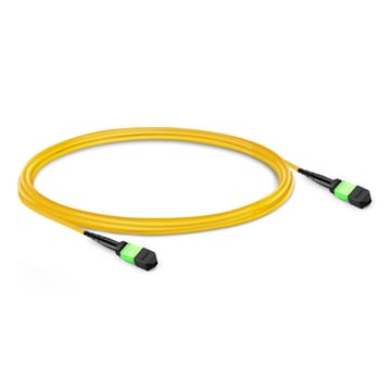 3m (10ft) 12 Fibers Female to Female Elite MTP Trunk Cable Polarity B Plenum (OFNP) OS2 9/125 Single Mode