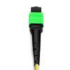 2m (7ft) 12 Fibers Female to Female Elite MTP Trunk Cable Polarity B Plenum (OFNP) OS2 9/125 Single Mode