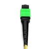 3m (10ft) 12 Fibers Female to Female Elite MTP Trunk Cable Polarity B Plenum (OFNP) OS2 9/125 Single Mode