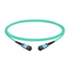 0.5m (1.6ft) 12 Fibers Female to Female MPO Trunk Cable Polarity B LSZH OM3 50/125 Multimode Fiber
