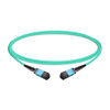 1 m (3 pies) 12 fibras hembra a hembra Cable troncal MPO Polaridad B LSZH OM3 50/125 Fibra multimodo