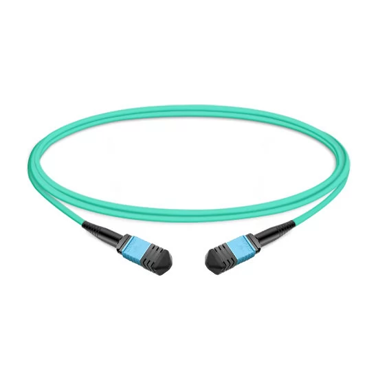 12 Fibers Female to Female MPO Trunk Cable 50CM | FiberMall