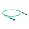 3 m (10 pies) 12 fibras Baja pérdida de inserción hembra a hembra Cable troncal MPO Polaridad B LSZH OM3 50/125 Fibra multimodo