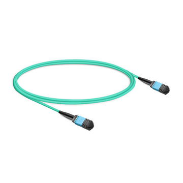 1 m (3 pies) 12 fibras hembra a hembra Cable troncal MPO Polaridad B LSZH OM3 50/125 Fibra multimodo