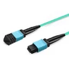 3m (10ft) 12 Fibers Low Insertion Loss Female to Female MPO Trunk Cable Polarity B LSZH OM3 50/125 Multimode Fiber