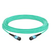 10 m (33 pies) 12 fibras hembra a hembra Cable troncal MPO Polaridad B LSZH OM3 50/125 Fibra multimodo