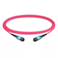 1 m (3 pies) 12 fibras hembra a hembra Cable troncal MPO Polaridad B LSZH Multimodo OM4 50/125