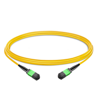 1 м (3 фута), 12 волокон с низкой вносимой потерей, межблочная полярность магистрального кабеля MPO B LSZH OS2 9/125, одномодовый
