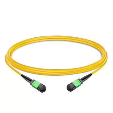 1 m (3 pies) 12 fibras hembra a hembra Cable troncal MPO Polaridad B LSZH OS2 9/125 Modo único