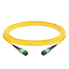 5 m (16 pies) 12 fibras Baja pérdida de inserción hembra a hembra Cable troncal MPO Polaridad B LSZH OS2 9/125 Modo único
