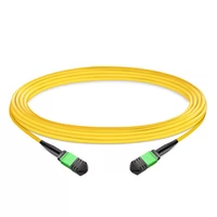 10m (33ft) 12 Fibers Female to Female MPO Trunk Cable Polarity B LSZH OS2 9/125 Single Mode