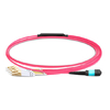 1m (3ft) MTP Female to 4 LC UPC Duplex OM4 50/125 Multimode Fiber Breakout Cable, 8 Fibers, Type B, Elite, LSZH, Aqua/Violet