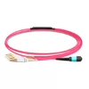 1m (3ft) MTP Female to 4 LC UPC Duplex OM4 50/125 Multimode Fiber Breakout Cable, 8 Fibers, Type B, Elite, Plenum (OFNP), Aqua/Violet