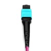 1m (3ft) MTP Female to 4 LC UPC Duplex OM4 50/125 Multimode Fiber Breakout Cable, 8 Fibers, Type B, Elite, LSZH, Aqua/Violet