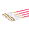 3m (10ft) MTP Female to 4 LC UPC Duplex OM4 50/125 Multimode Fiber Breakout Cable, 8 Fibers, Type B, Elite, Plenum (OFNP), Aqua/Violet