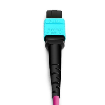 7m (23ft) MTP Female to 6 LC UPC Duplex OM4 50/125 Multimode Fiber Breakout Cable, 12 Fibers, Type B, Elite, LSZH, Aqua/Violet