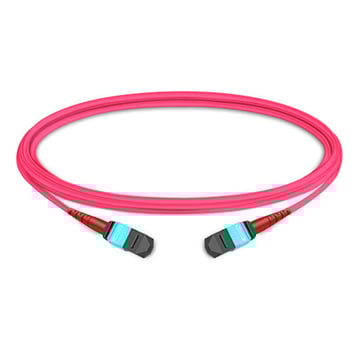 3m (10ft) 24 Fibers Female to Female Elite MTP Trunk Cable Polarity B Plenum (OFNP) Multimode OM4 50/125μm
