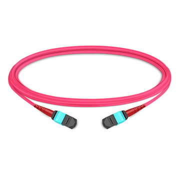 24 Fasern MMF OM4 Elite MTP Patchkabel Polarität B 3M | FiberMall