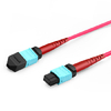 Cable troncal Elite MTP de 2 m (7 pies) de 24 fibras hembra a hembra, polaridad B Plenum (OFNP) multimodo OM4 50/125 μm