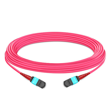 10 m (33 pies) 24 fibras hembra a hembra Elite MTP Cable troncal Polaridad A Plenum (OFNP) Multimodo OM4 50/125 para conectividad 100GBASE-SR10