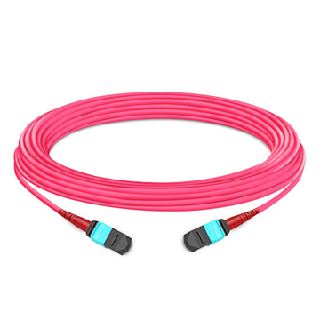 5m (16ft) 24 Fibres Femelle à Femelle Elite MTP Trunk Cable Polarité A Plenum (OFNP) Multimode OM4 50/125 pour Connectivité 100GBASE-SR10