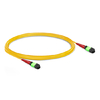 3m (10ft) 24 Fibers Female to Female Elite MTP Trunk Cable Polarity A Plenum (OFNP) OS2 9/125 Single Mode for 100G CPAK LR Connectivity