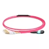 3m (10ft) MPO أنثى إلى 4 LC UPC Duplex OM4 50/125 Multimode Fiber Breakout Cable، 8 Fibers Type B، Elite، LSZH، Aqua / Violet