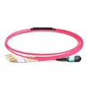 3m (10ft) MPO UPC Female to 4 LC UPC Duplex OM4 50/125 Multimode Fiber Breakout Cable, 8 Fibers Type B, Elite, LSZH, Aqua/Violet