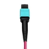 1m (3ft) MPO أنثى إلى 4 LC UPC Duplex OM4 50/125 Multimode Fiber Breakout Cable، 8 Fibers Type B، Elite، LSZH، Aqua / Violet