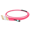 1m (3ft) MPO أنثى إلى 6 LC UPC Duplex OM4 50/125 Multimode Fiber Breakout Cable، 12 Fibers Type B، Elite، LSZH، Aqua / Violet