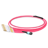 1m (3ft) MPO UPC Female to 6 LC UPC Duplex OM4 50/125 Multimode Fiber Breakout Cable, 12 Fibers Type B, LSZH, Aqua/Violet