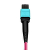 2m (7 pies) MPO hembra a 6 LC UPC Duplex OM4 50/125 Cable de ruptura de fibra multimodo, 12 fibras Tipo B, Elite, LSZH, Aqua / Violet