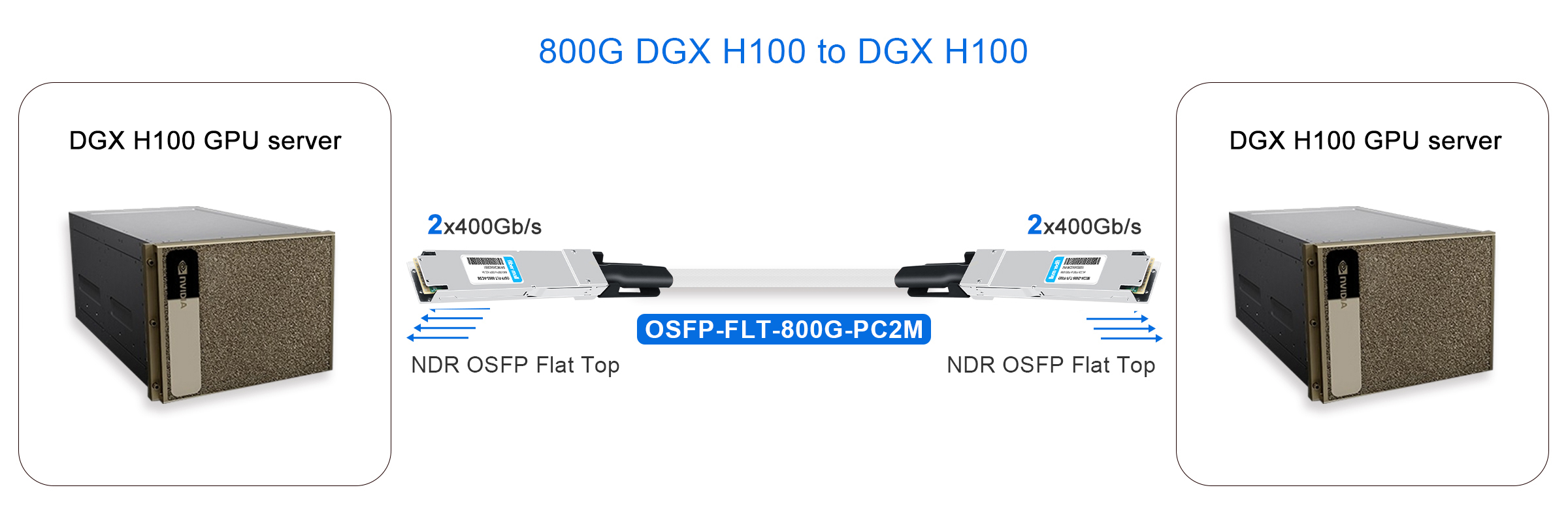 800G DGX H100 to DGX H100
