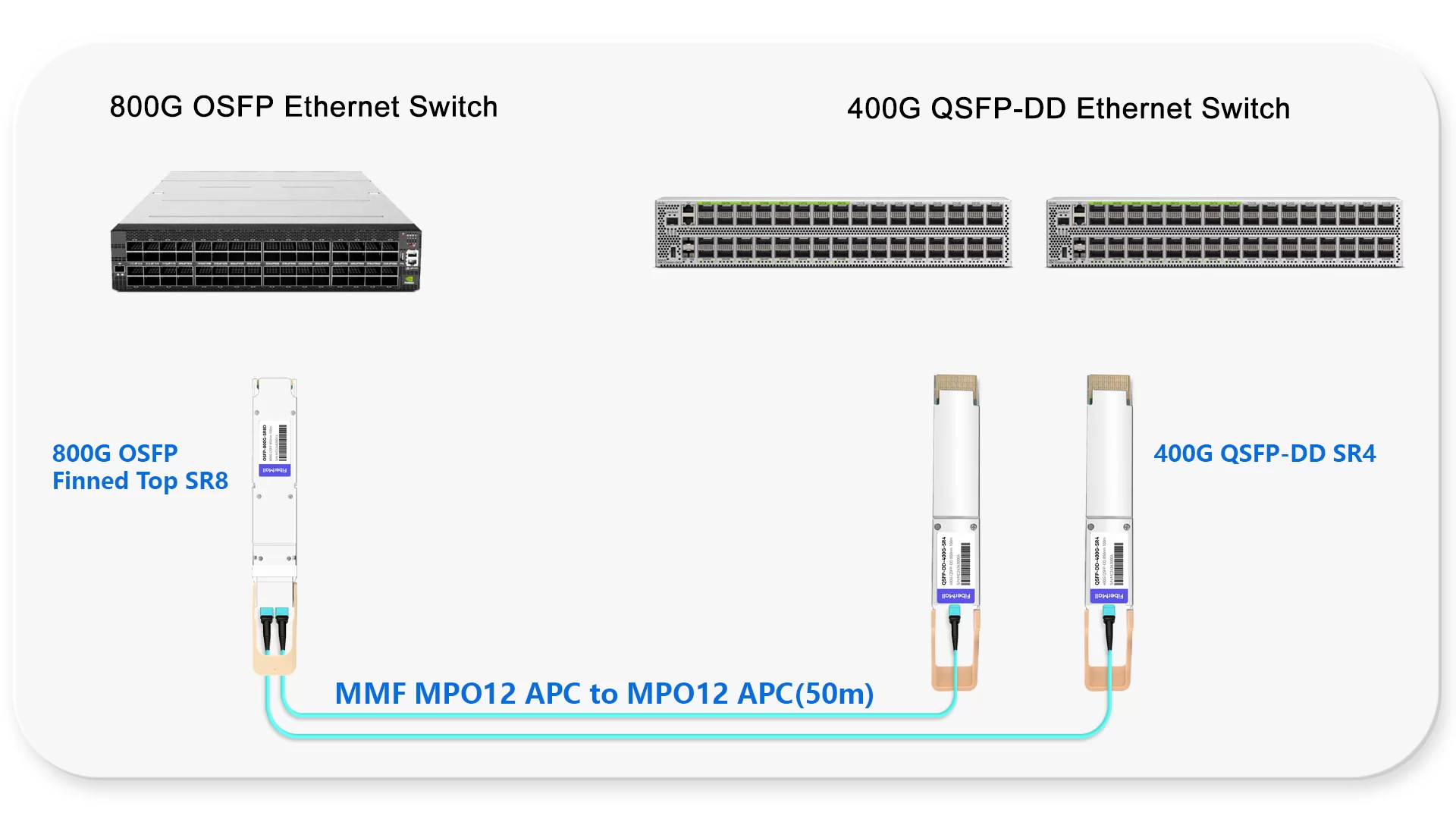 800G Ethernet Switch to 400G Ethernet Switch