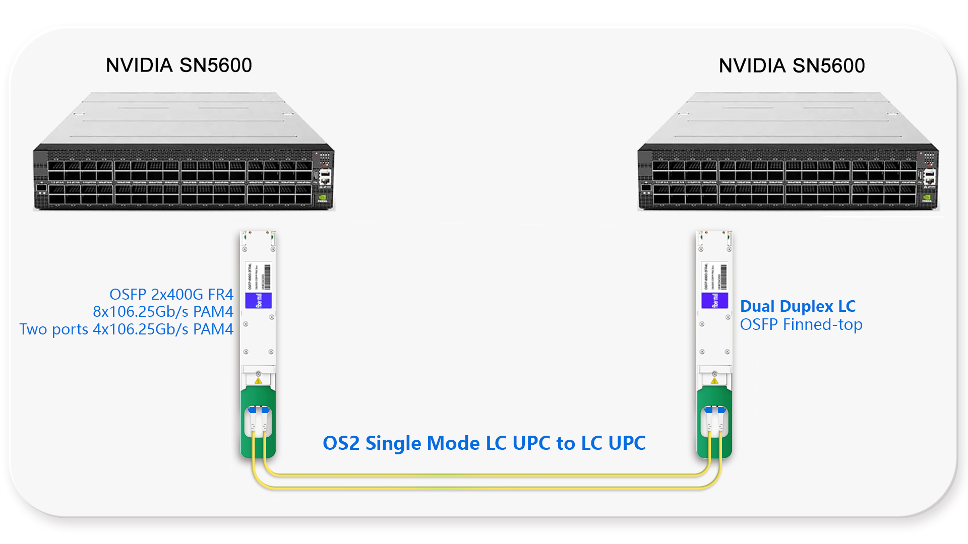 800G Ethernet Switch to 800G Ethernet Switch