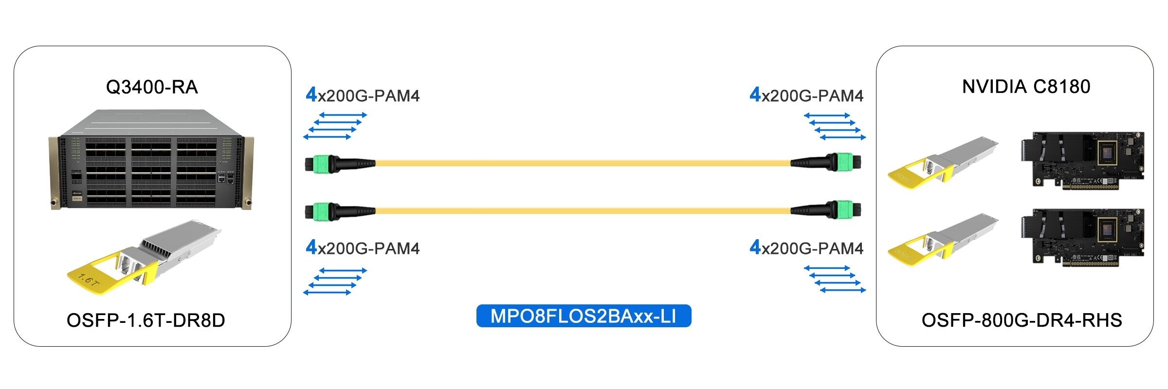 1.6T InfiniBand XDR Switch to 2x800G NIC