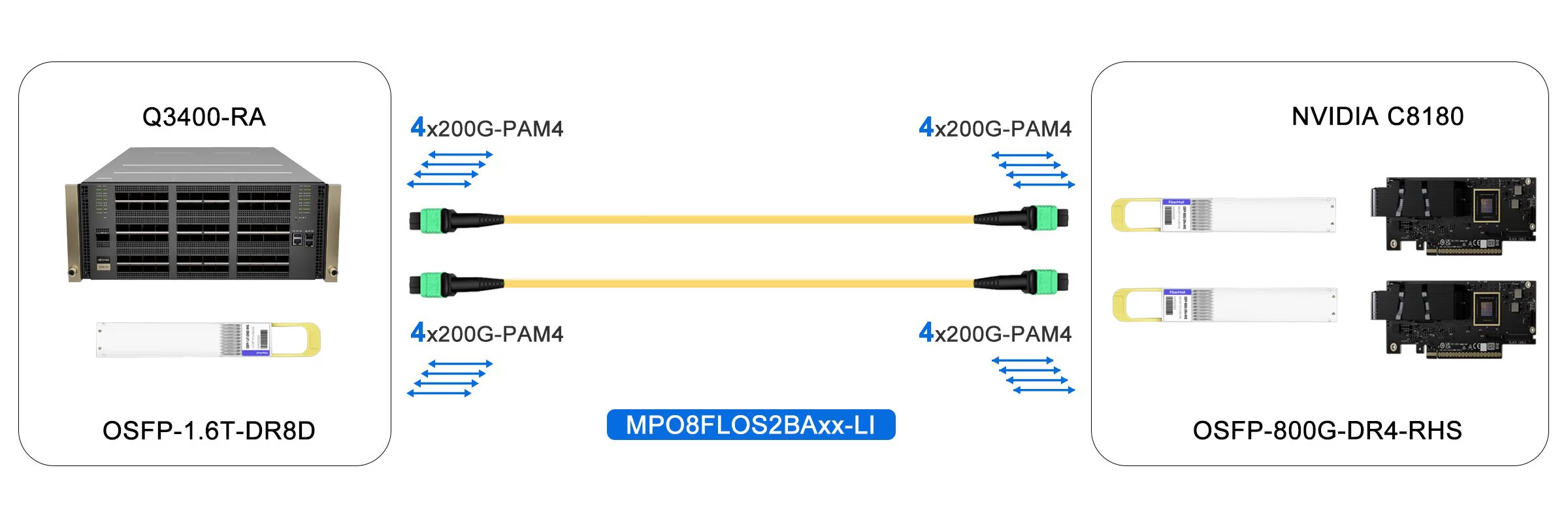 1.6T InfiniBand XDR Switch to 2x800G NIC