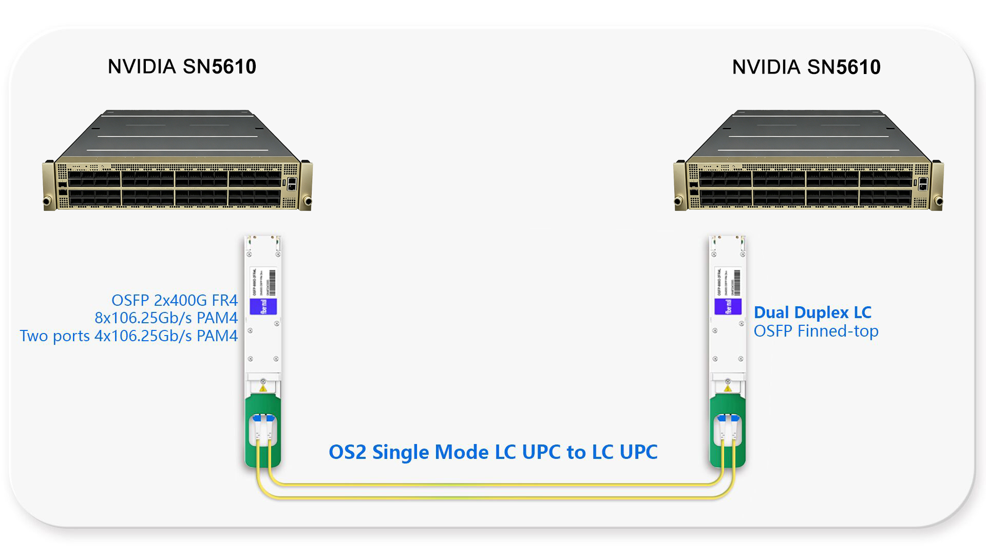 800G Ethernet Switch to 800G Ethernet Switch