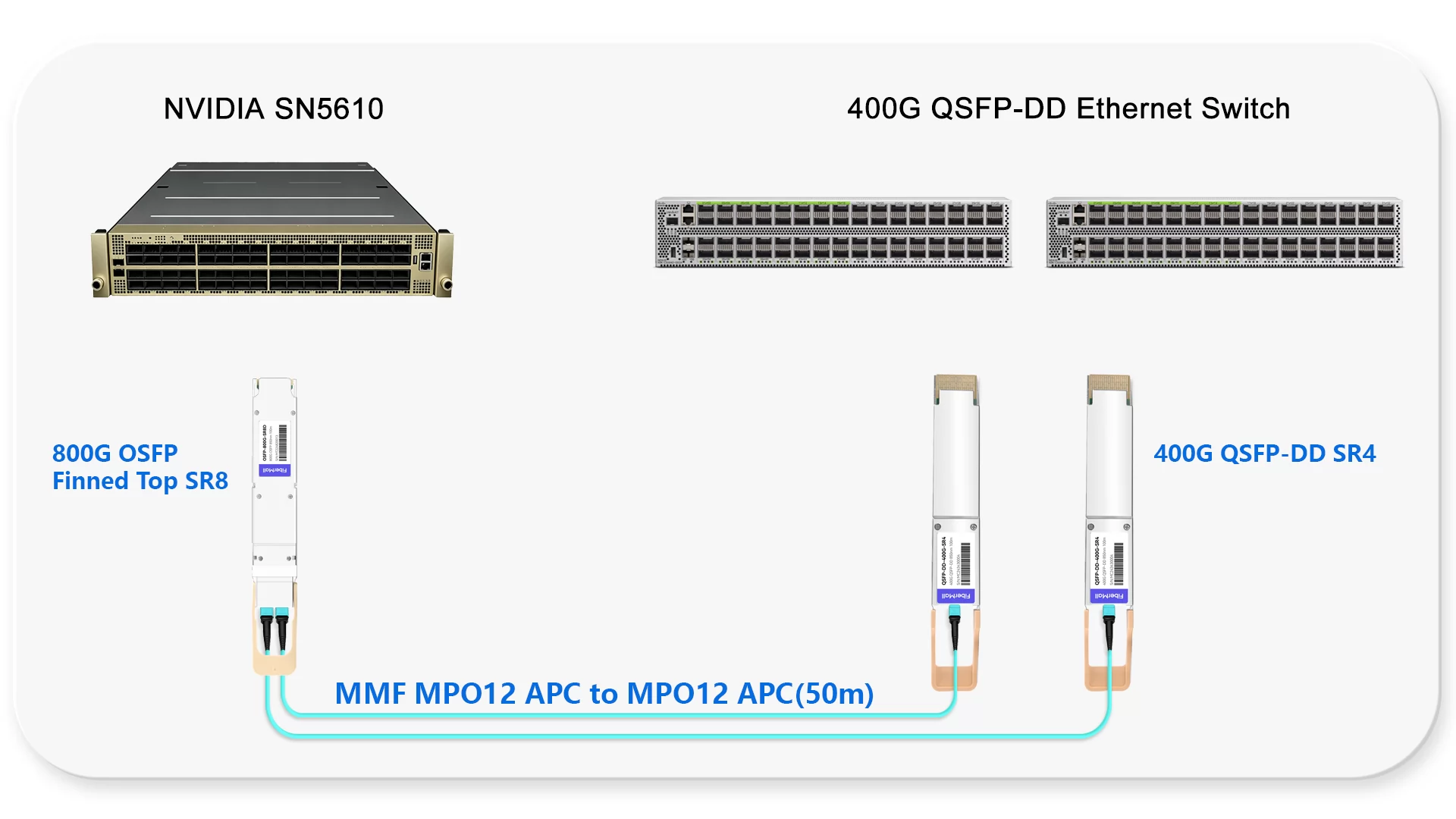 800G Ethernet Switch to 400G Ethernet Switch