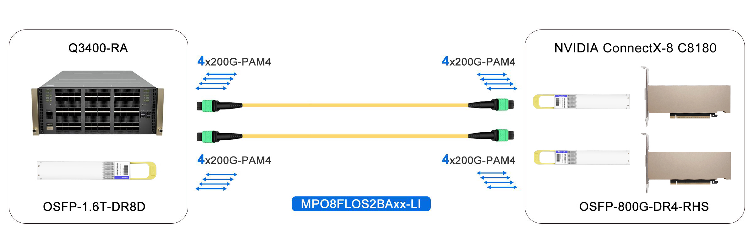 1.6T InfiniBand XDR Switch to 2x800G NIC
