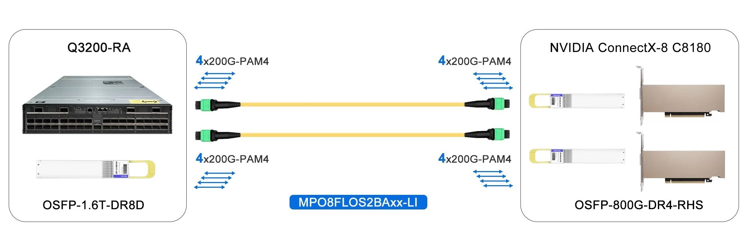 1.6T InfiniBand XDR Switch to 2x800G NIC