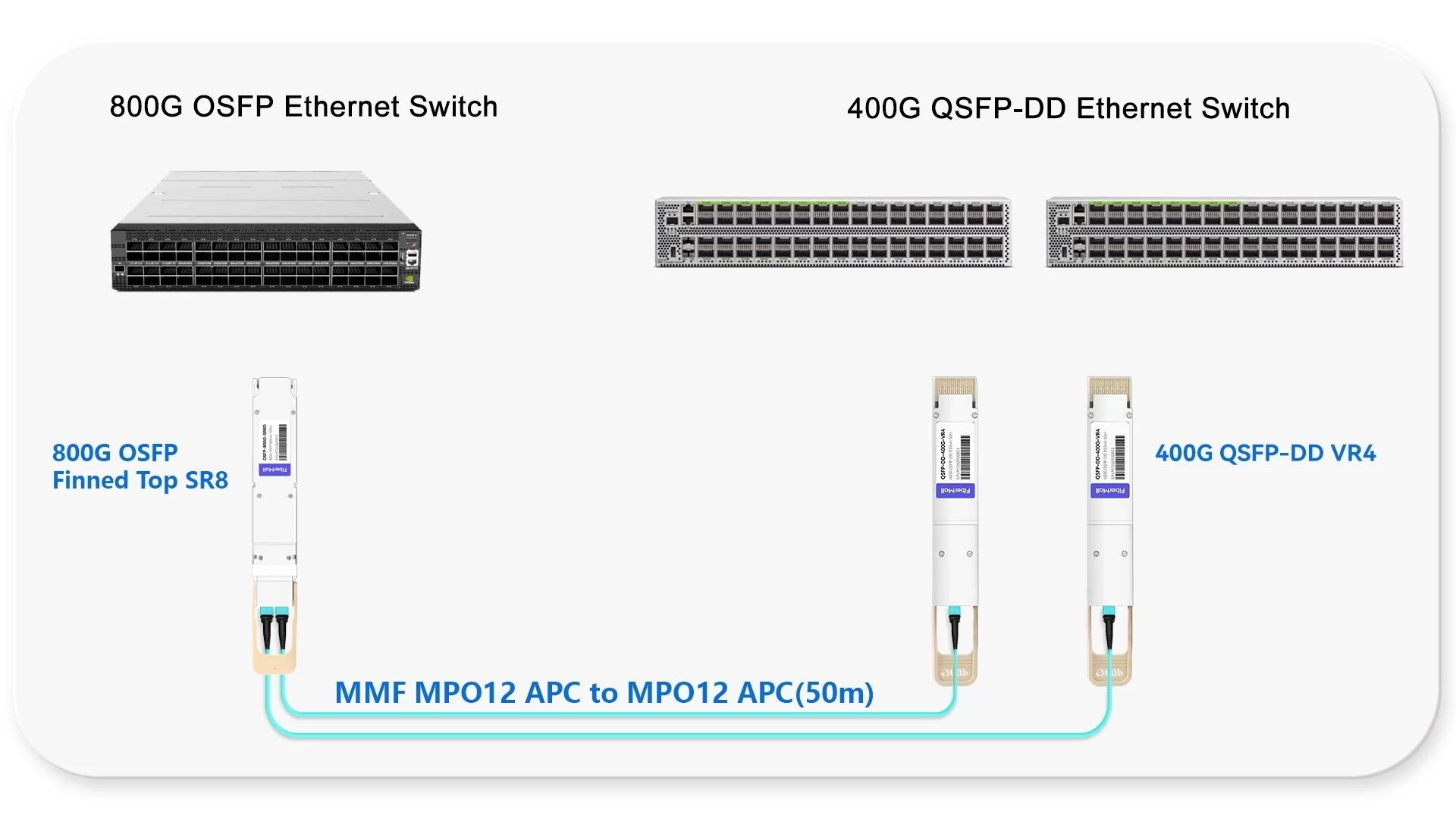 800G Ethernet Switch to 400G Ethernet Switch